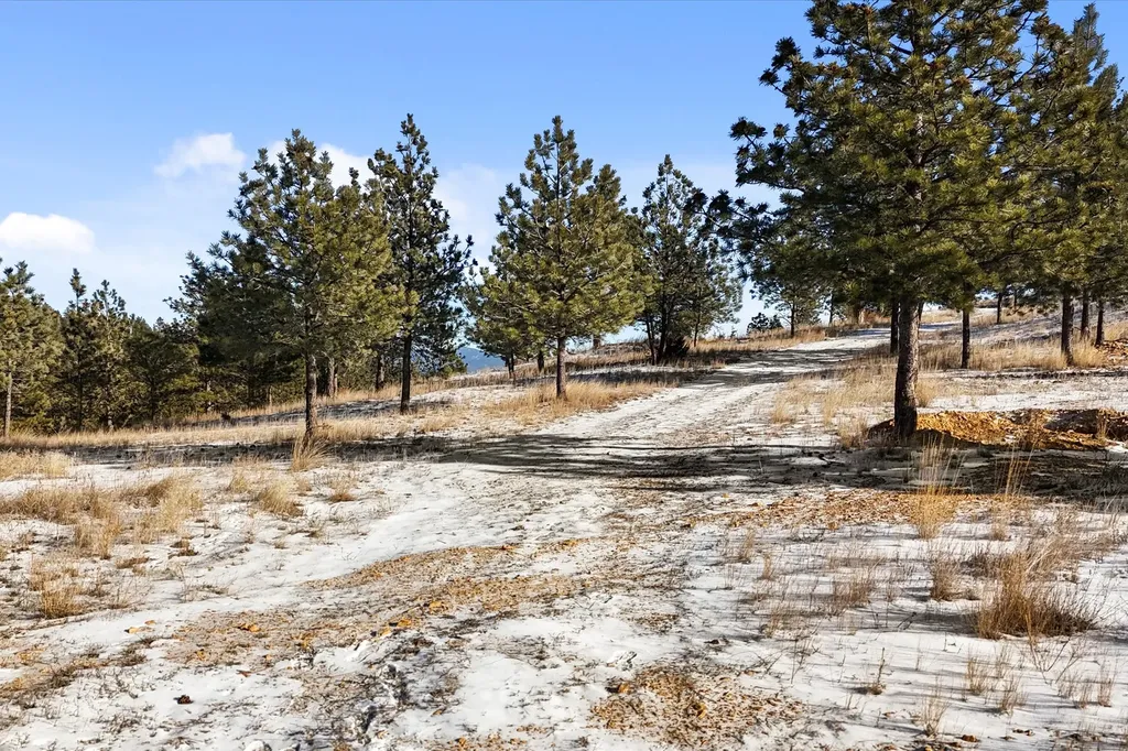6635 Antler Way Helena MT 59602