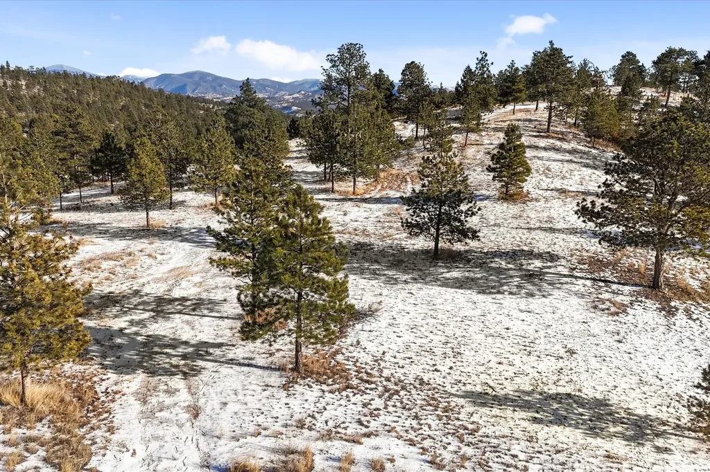 6635 Antler Way Helena MT 59602