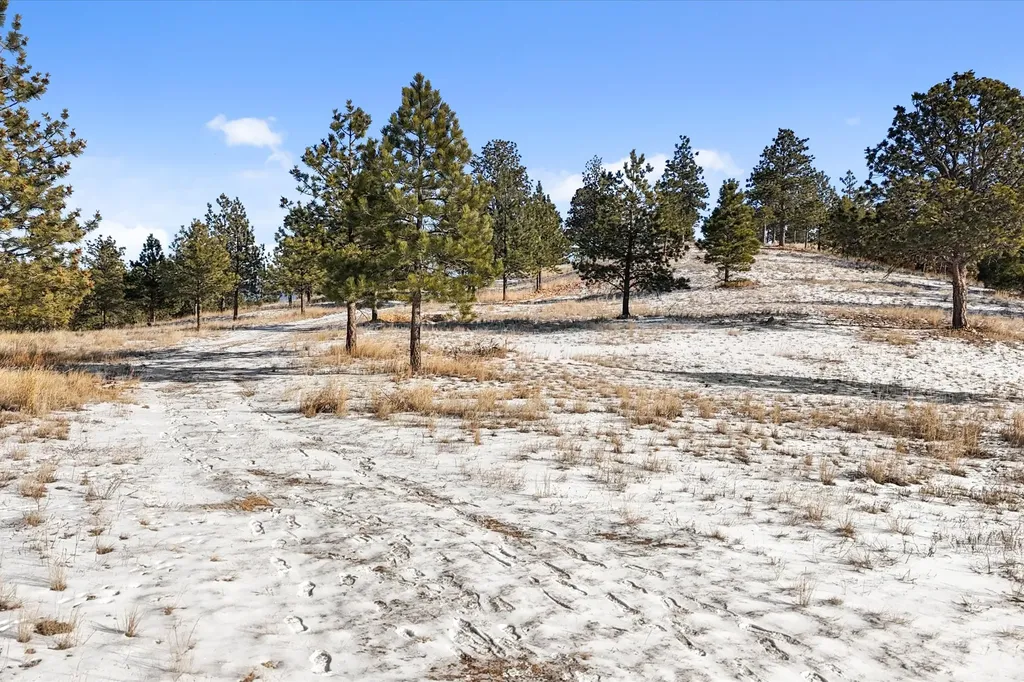 6635 Antler Way Helena MT 59602