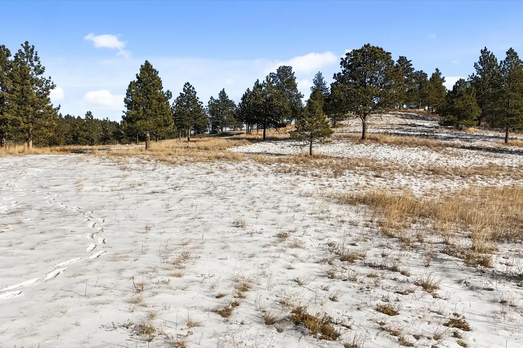 6635 Antler Way Helena MT 59602