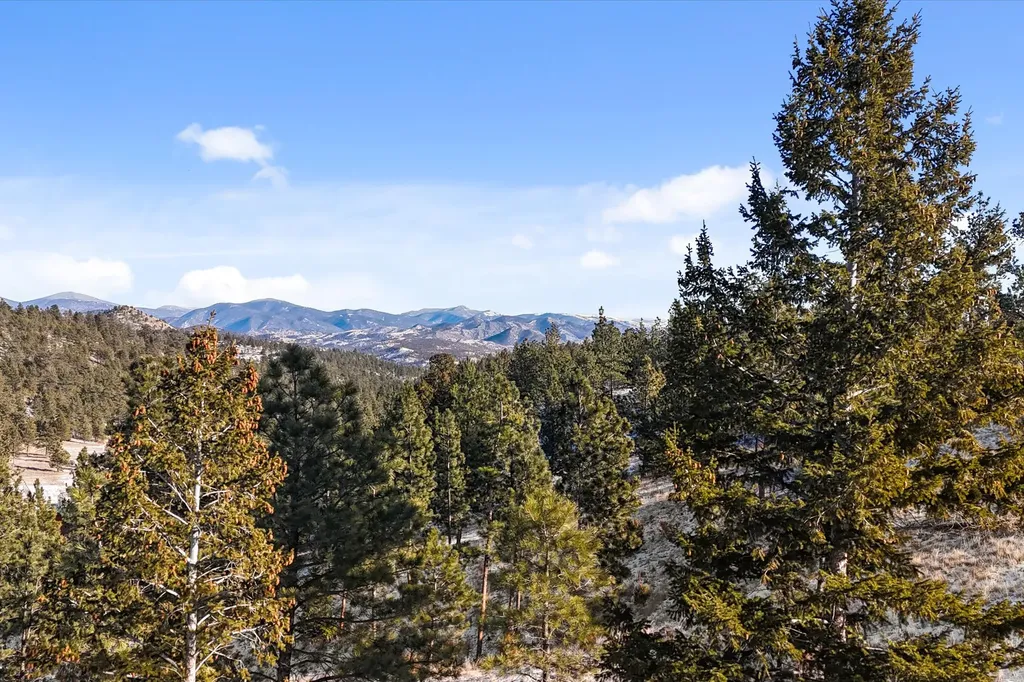 6635 Antler Way Helena MT 59602