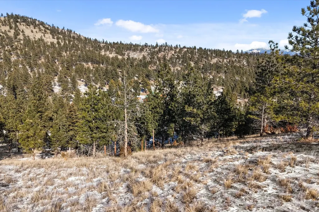 6635 Antler Way Helena MT 59602