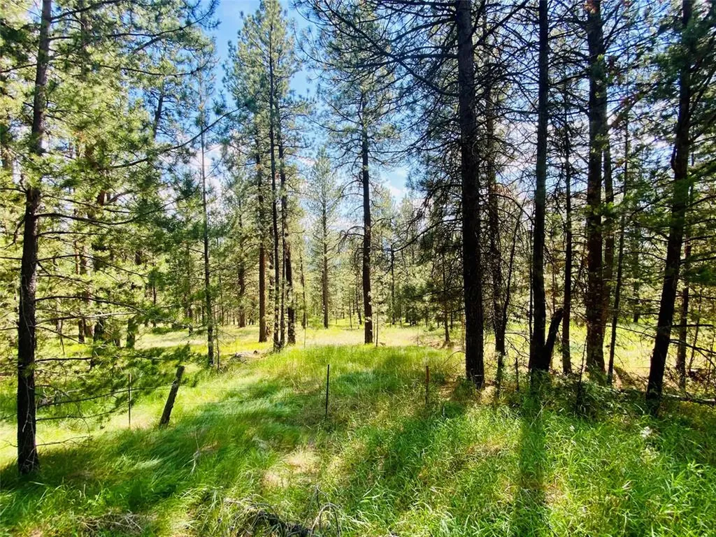 2890 Lower Lost Prairie Road Marion MT 59925