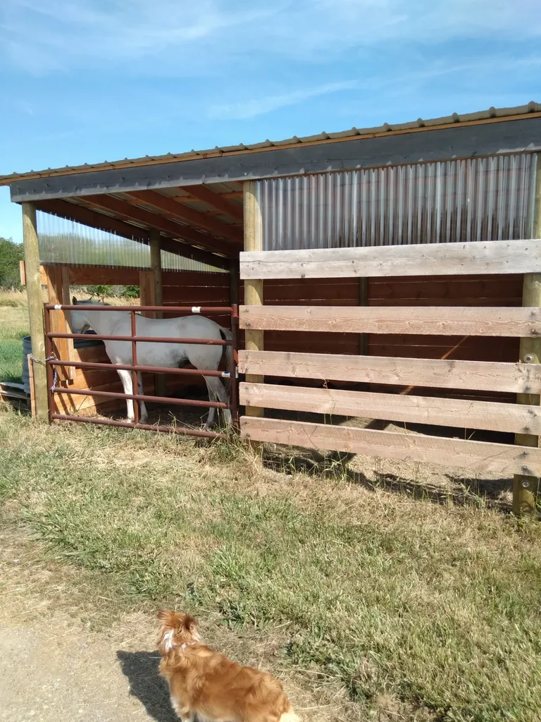 36344 Kerr Dam Road Polson MT 59860