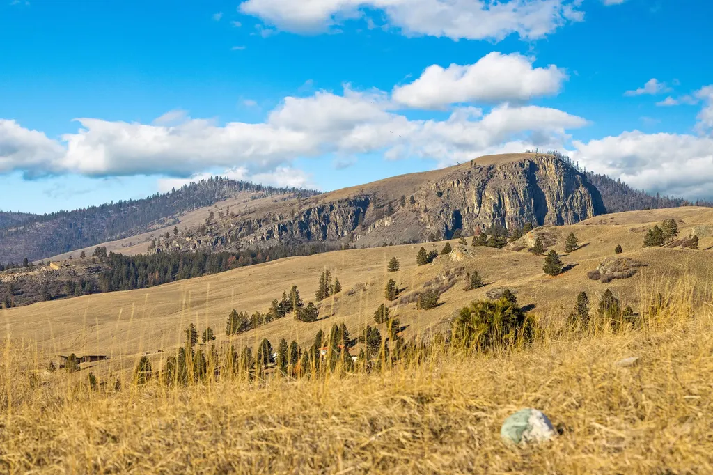 43830 Buffalo Road Dayton MT 59914