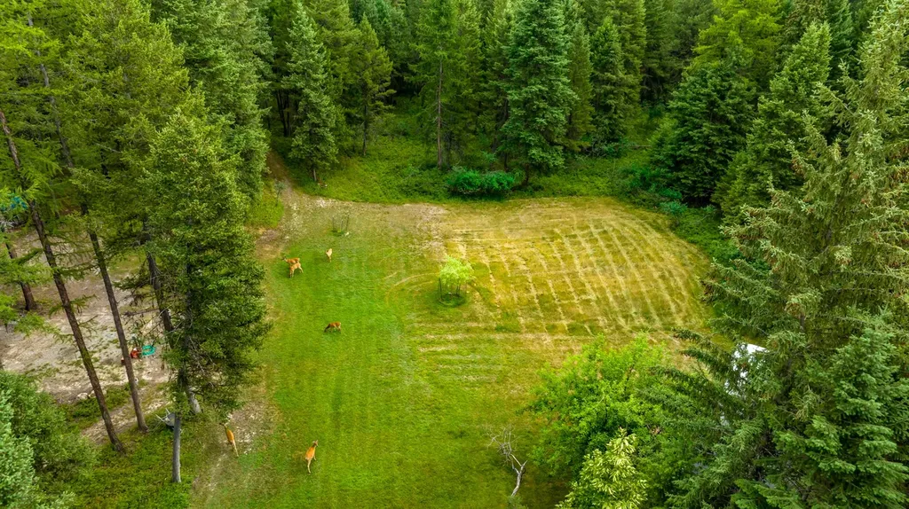 1085 K M Ranch Road Whitefish MT 59937