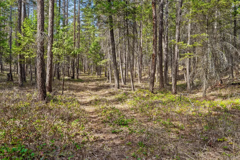 1085 K M Ranch Road Whitefish MT 59937
