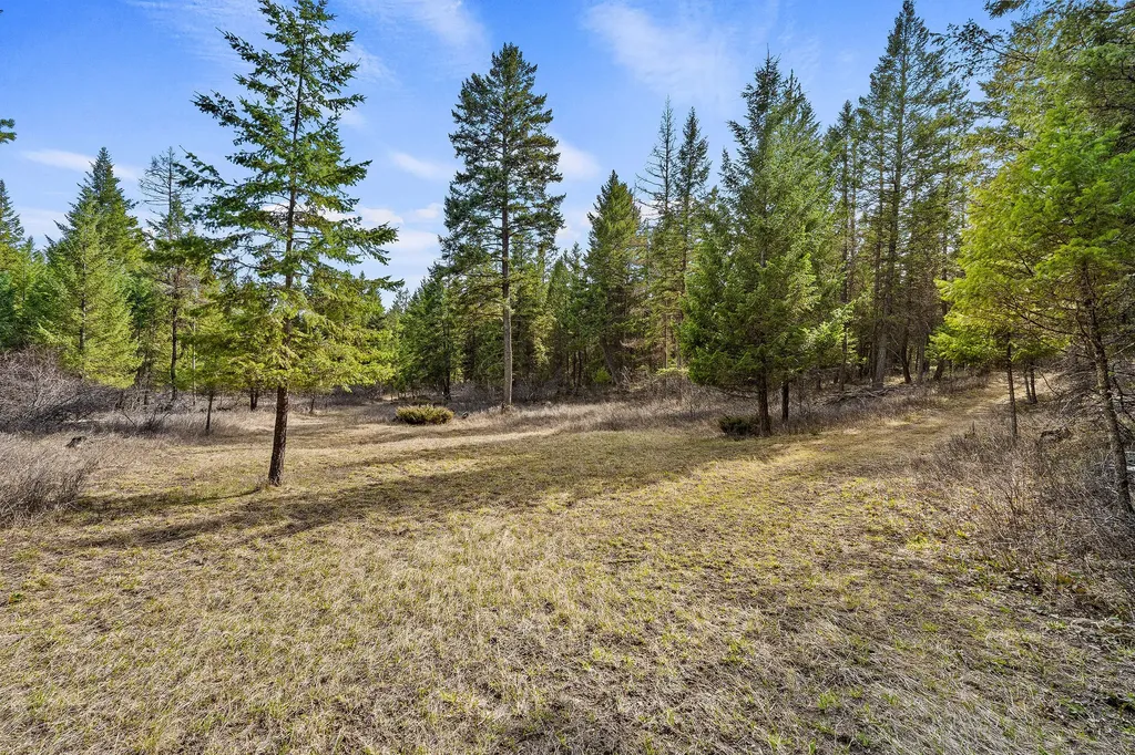 1085 K M Ranch Road Whitefish MT 59937