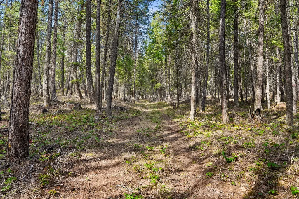 1085 K M Ranch Road Whitefish MT 59937