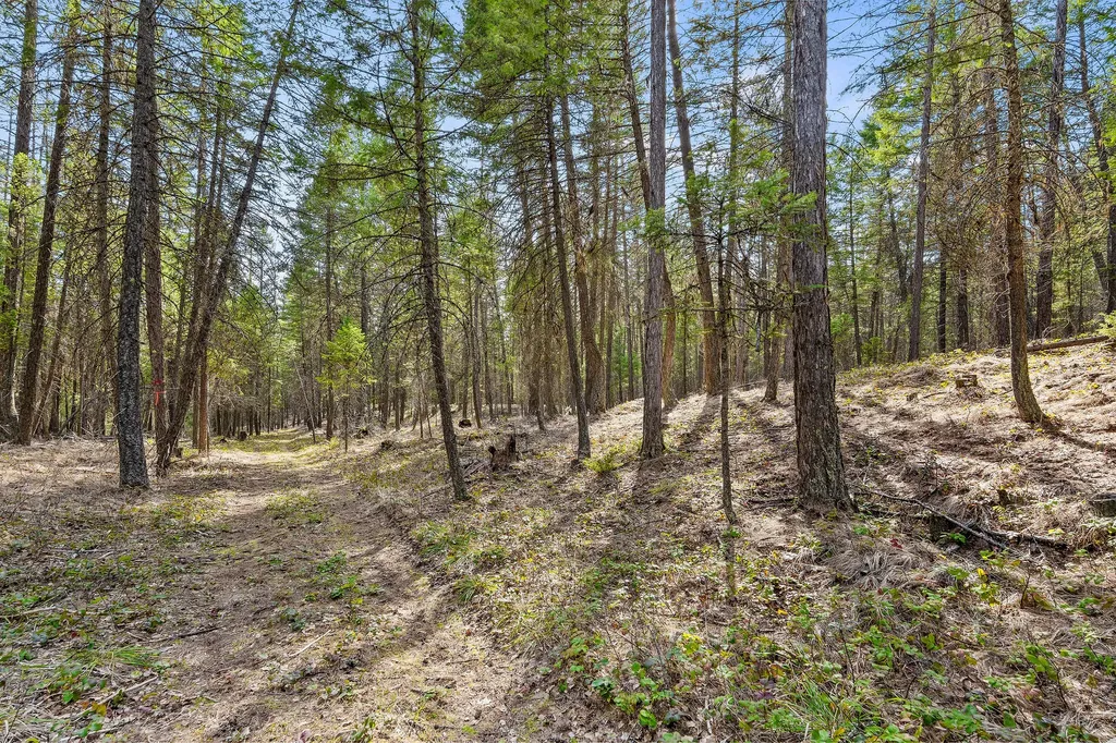 1085 K M Ranch Road Whitefish MT 59937