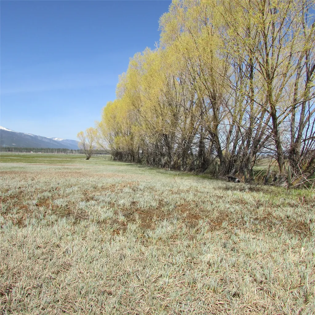 Nhn Meridian Road Victor MT 59875