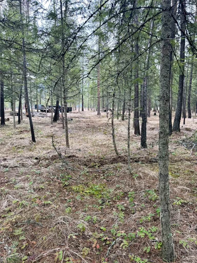 15 Libby Lane Thompson Falls MT 59873