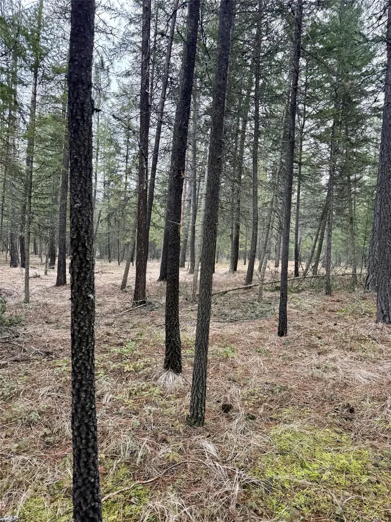 15 Libby Lane Thompson Falls MT 59873
