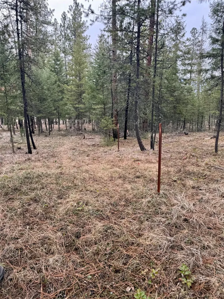 15 Libby Lane Thompson Falls MT 59873