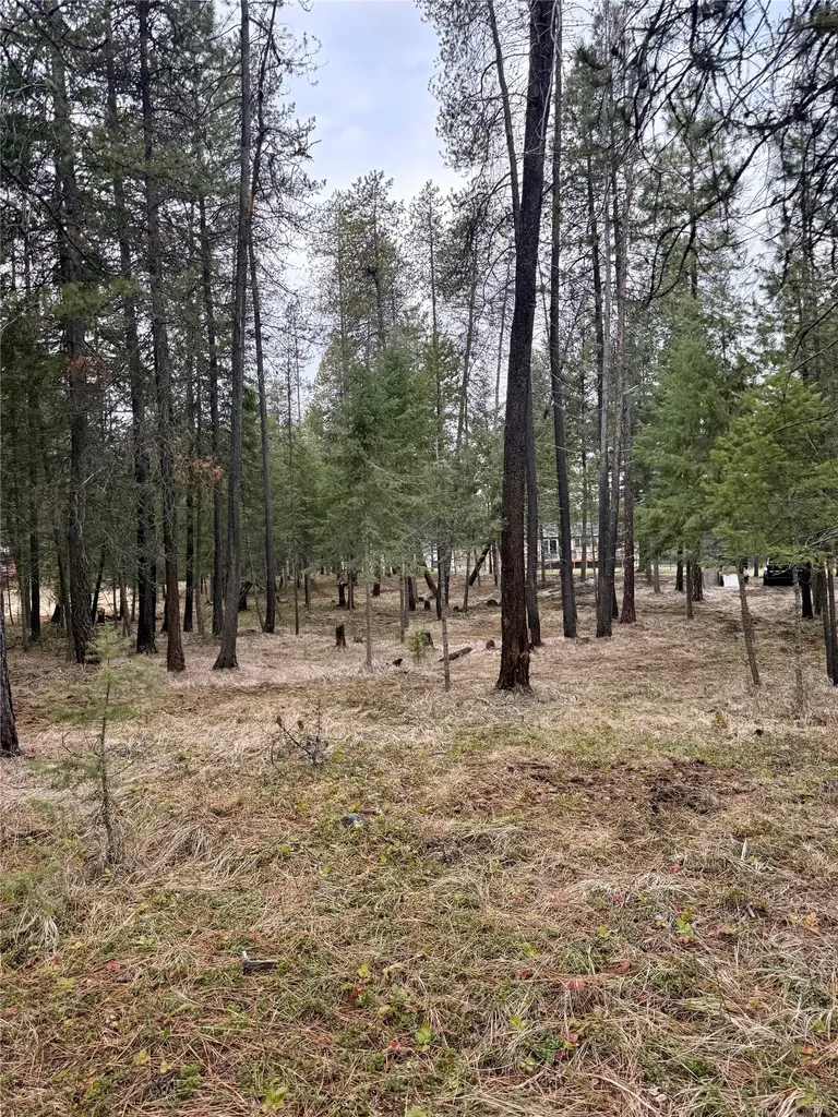 15 Libby Lane Thompson Falls MT 59873