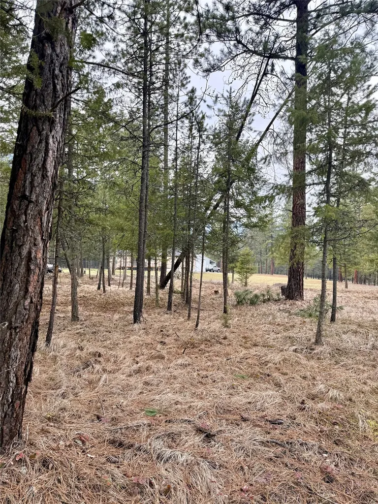 15 Libby Lane Thompson Falls MT 59873