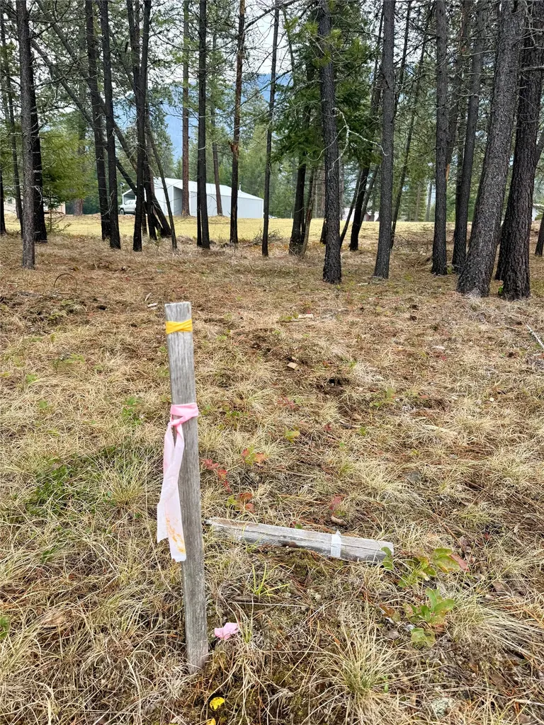 15 Libby Lane Thompson Falls MT 59873