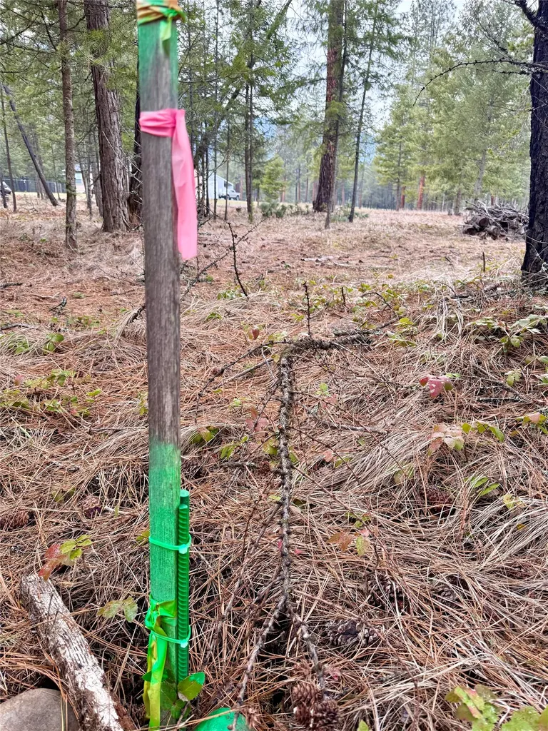 15 Libby Lane Thompson Falls MT 59873