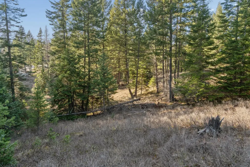 55 Wild Turkey Lane Kalispell MT 59901