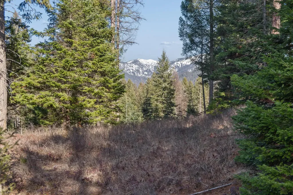 55 Wild Turkey Lane Kalispell MT 59901