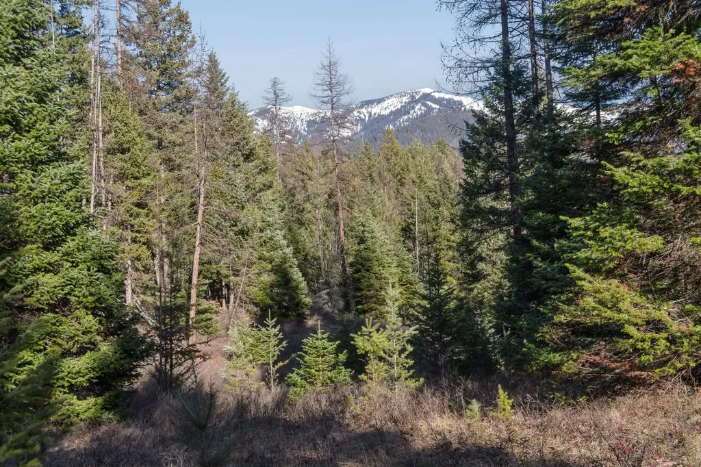 55 Wild Turkey Lane Kalispell MT 59901