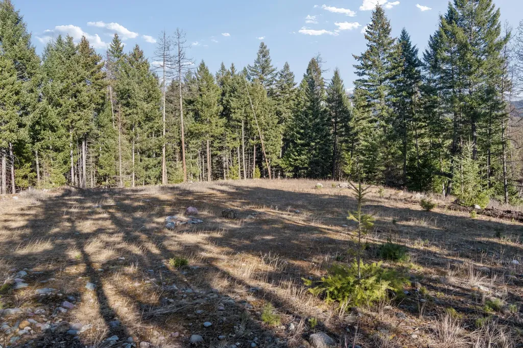 55 Wild Turkey Lane Kalispell MT 59901