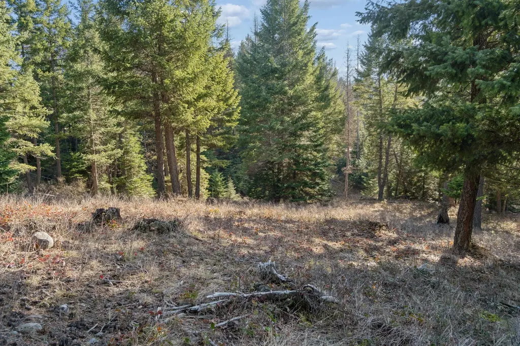 55 Wild Turkey Lane Kalispell MT 59901