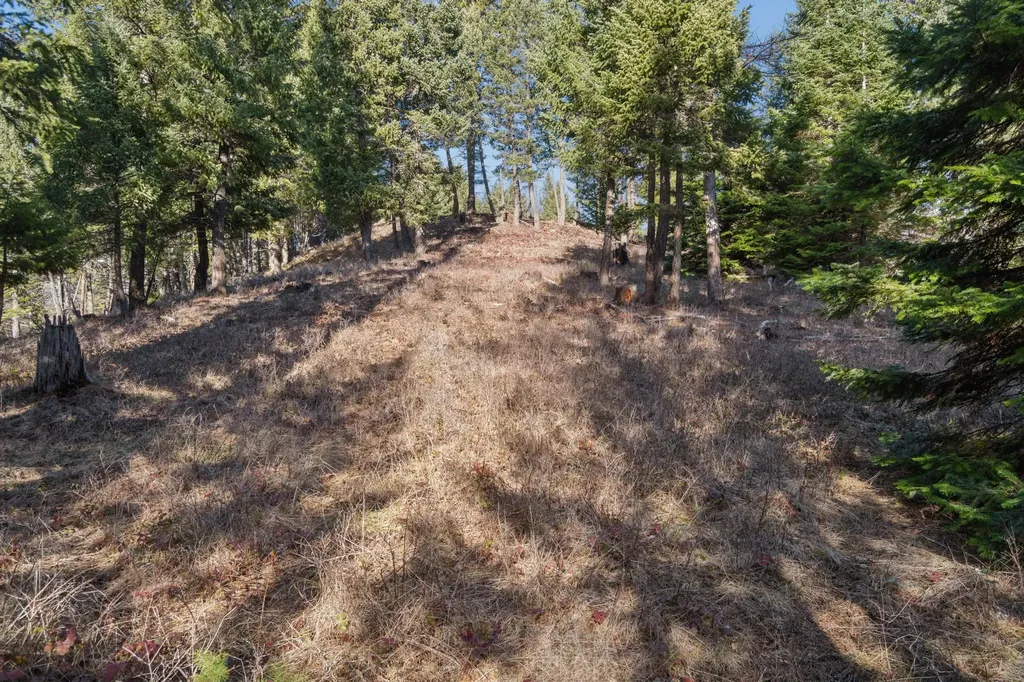 55 Wild Turkey Lane Kalispell MT 59901