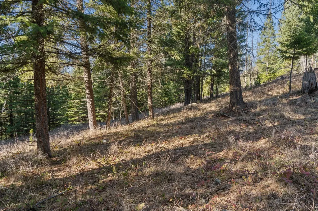 55 Wild Turkey Lane Kalispell MT 59901