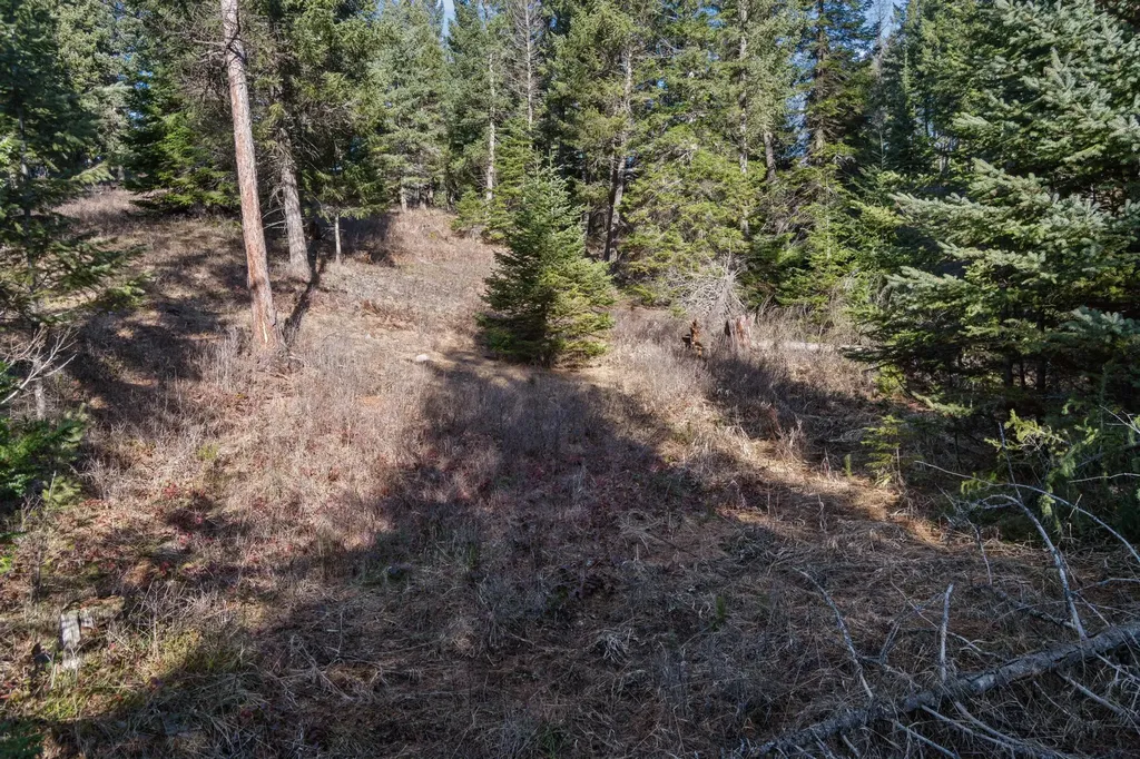 55 Wild Turkey Lane Kalispell MT 59901