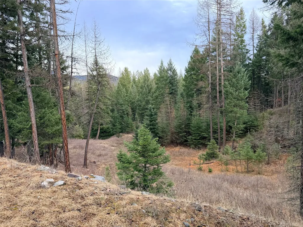 55 Wild Turkey Lane Kalispell MT 59901