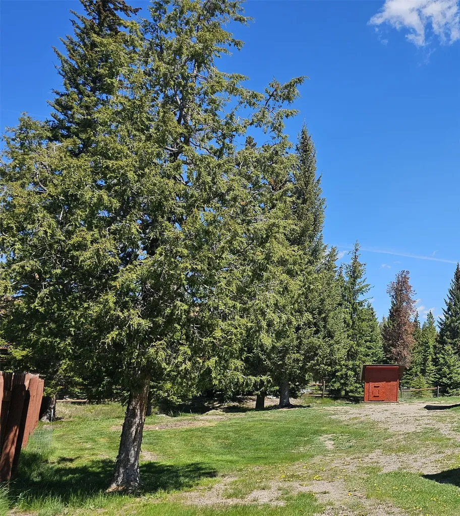 4176 E Willow Creek Road Lincoln MT 59639