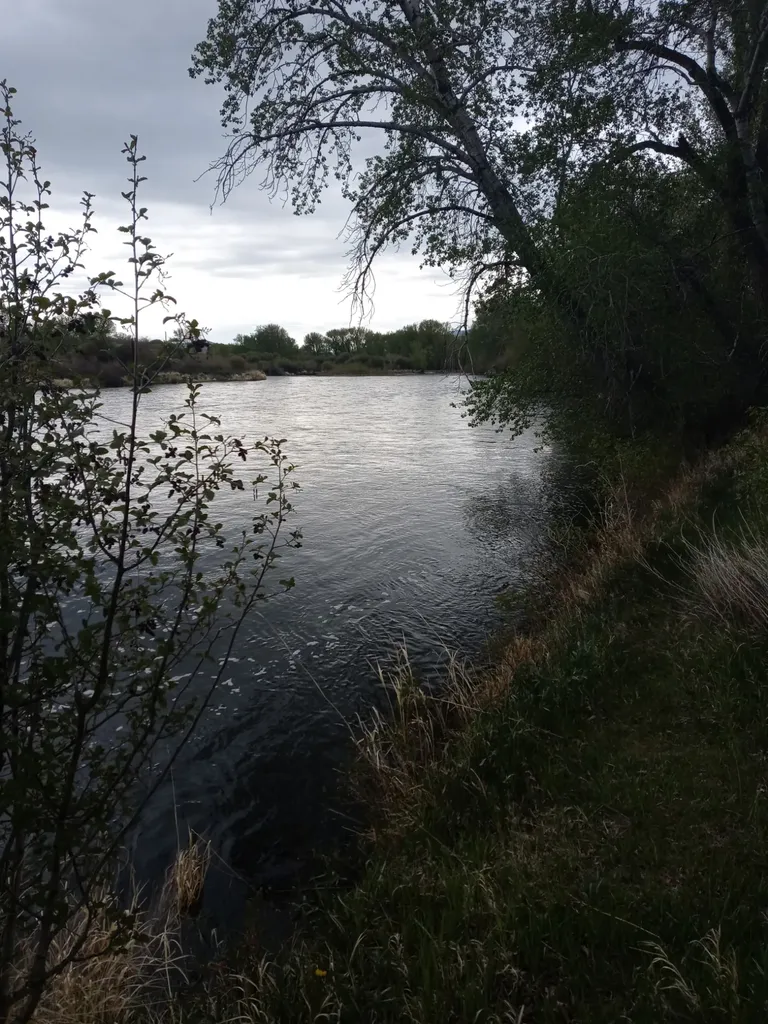 240 Ponderosa Road Melrose MT 59743