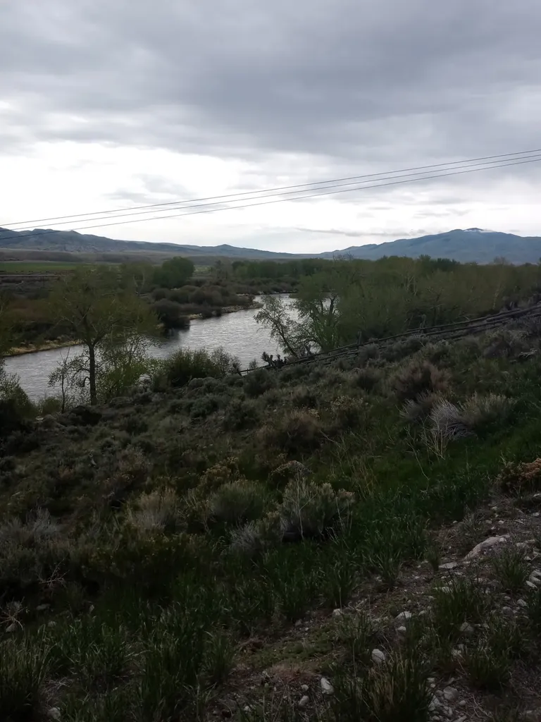 240 Ponderosa Road Melrose MT 59743
