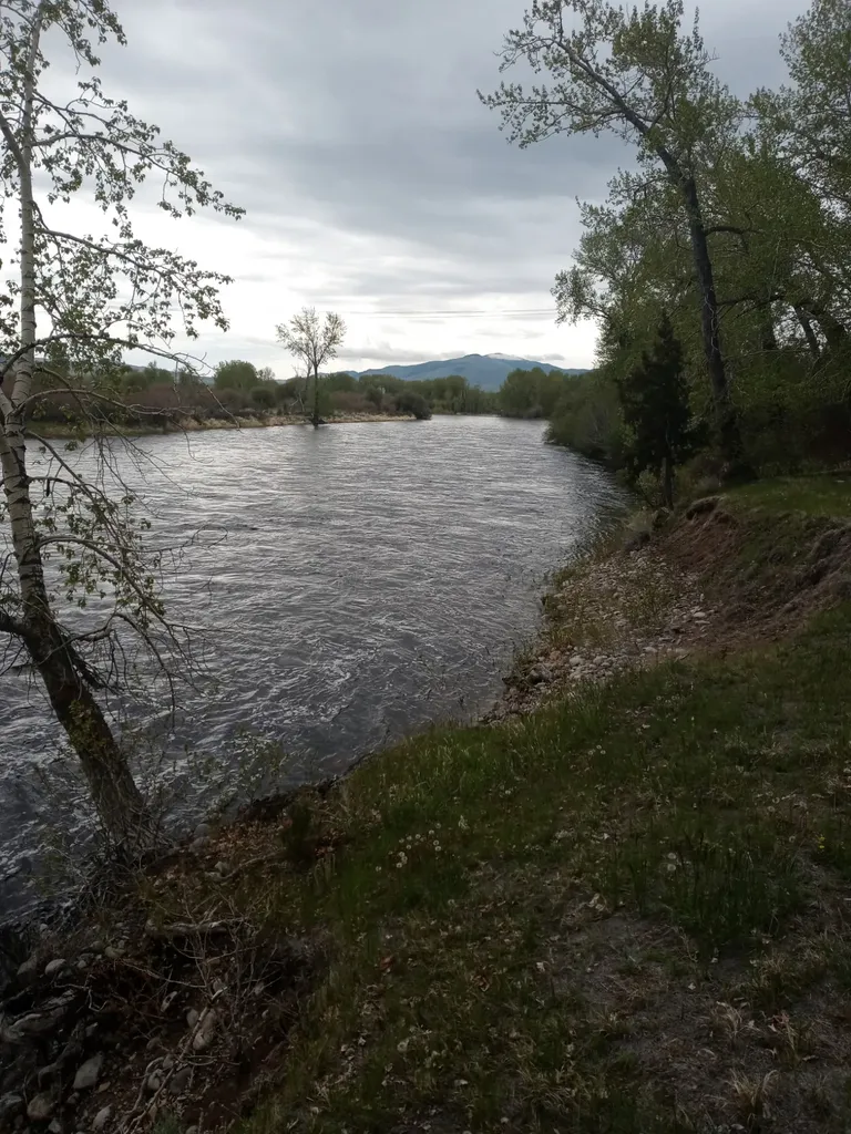 240 Ponderosa Road Melrose MT 59743