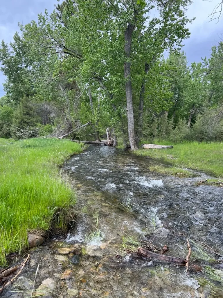 Lot 32-a Drovers Trail Stevensville MT 59870
