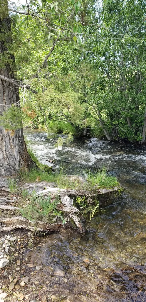 Lot 32-a Drovers Trail Stevensville MT 59870