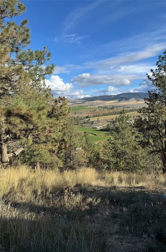 2019 S Sunset Bench Road Stevensville MT 59870