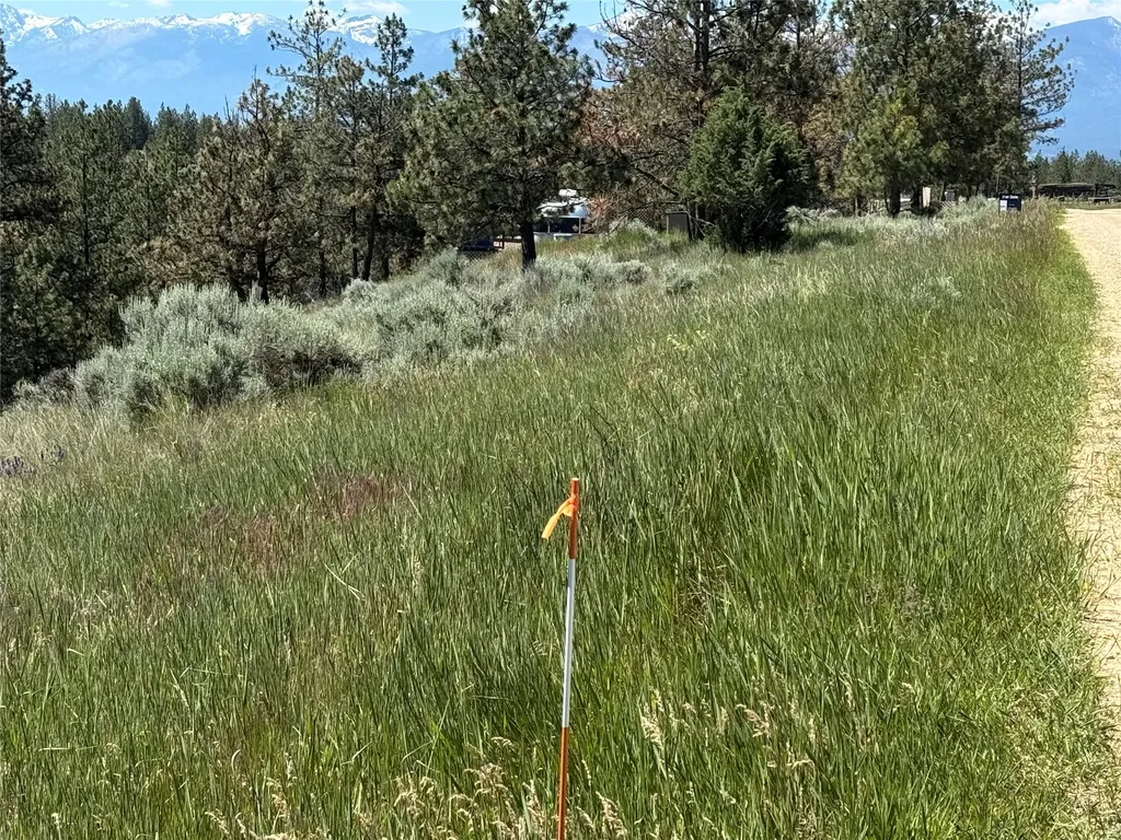 2019 S Sunset Bench Road Stevensville MT 59870
