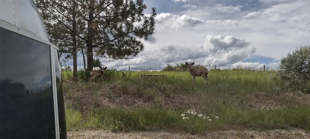2019 S Sunset Bench Road Stevensville MT 59870