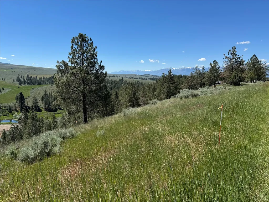 2019 S Sunset Bench Road Stevensville MT 59870