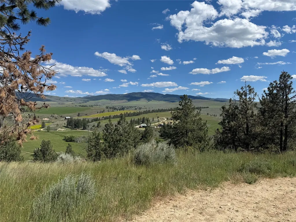 2019 S Sunset Bench Road Stevensville MT 59870
