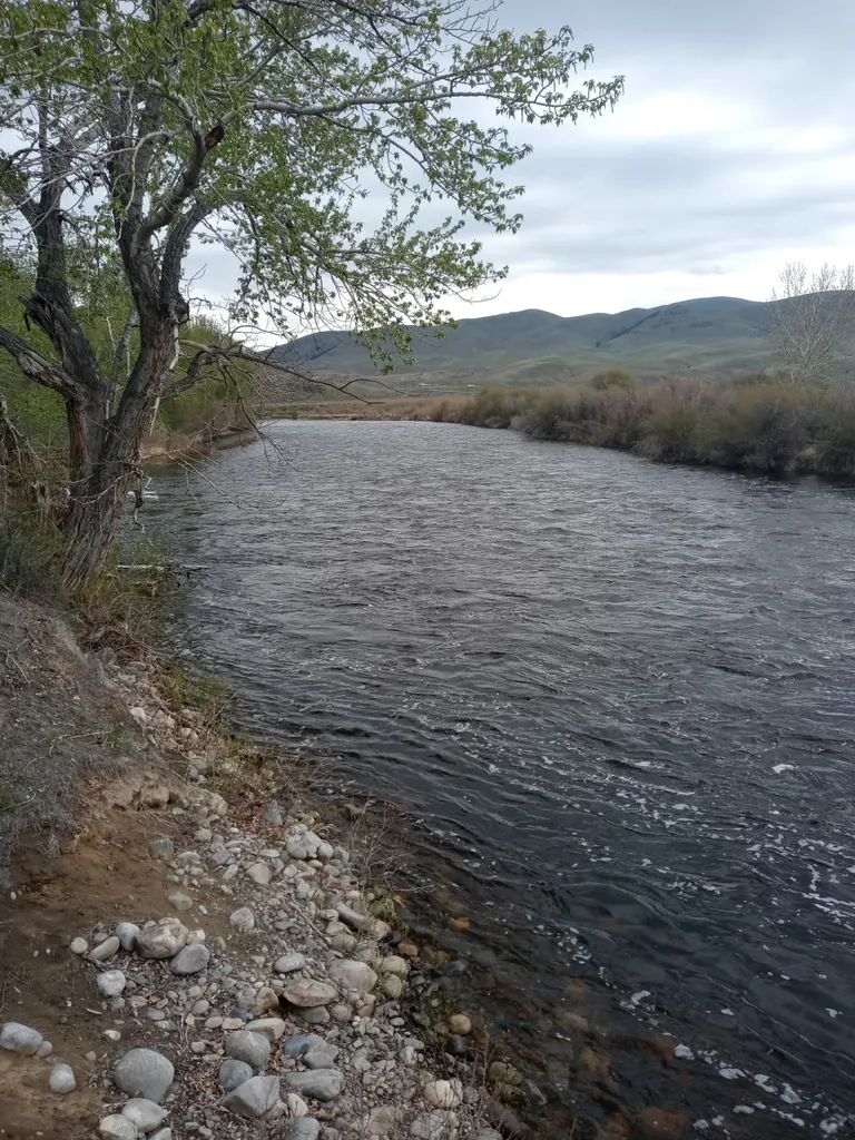 2651 Big Horn Road Melrose MT 59743