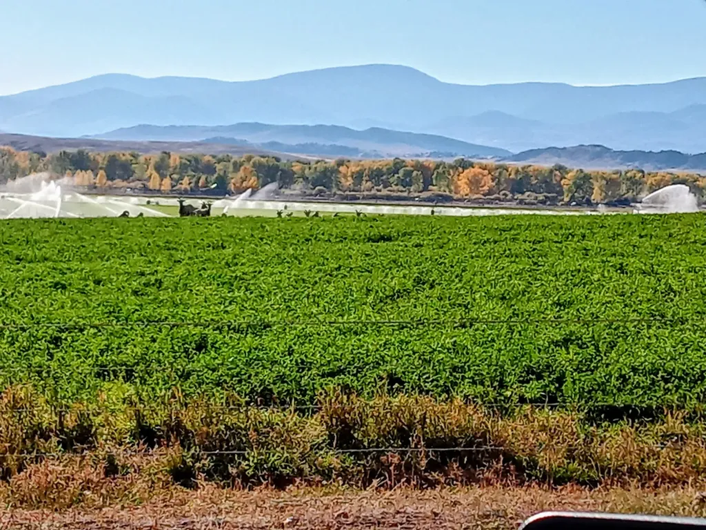 2651 Big Horn Road Melrose MT 59743