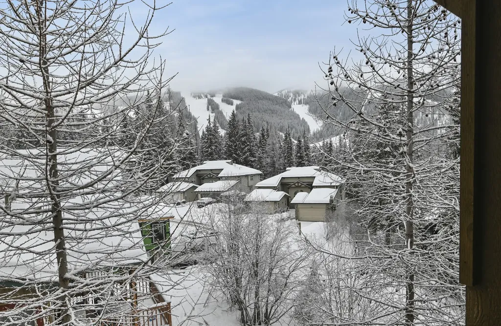 301 Wood Run Drive Whitefish MT 59937