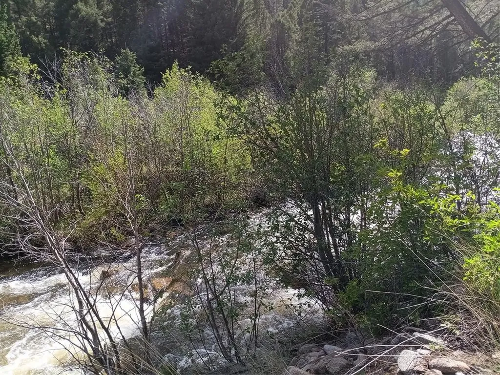 67 Basin Creek Road Basin MT 59631