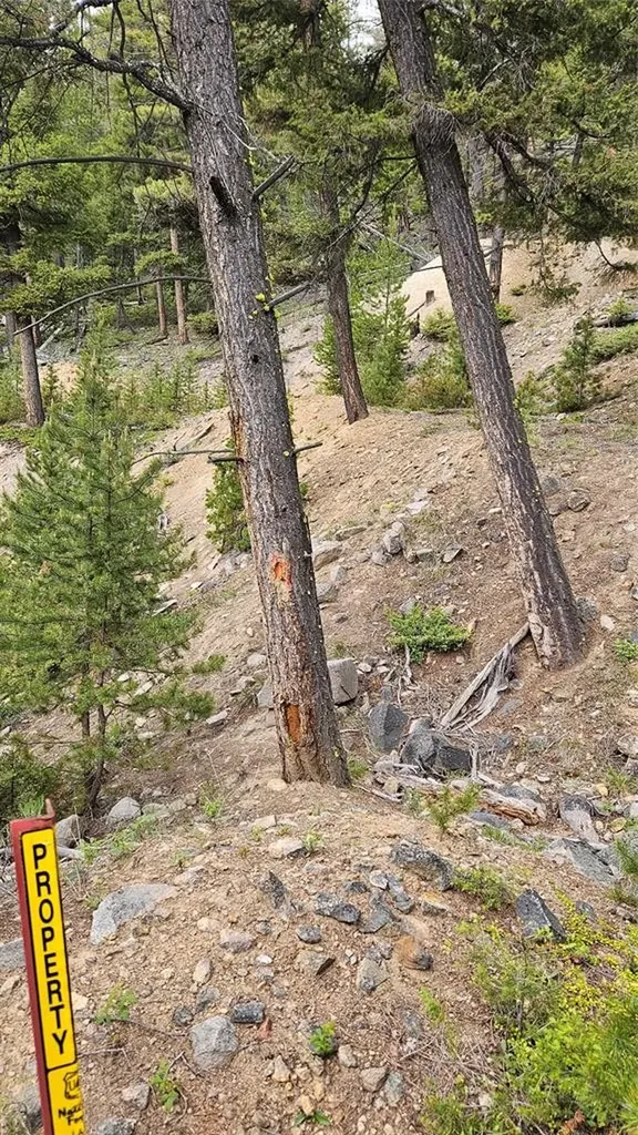 67 Basin Creek Road Basin MT 59631