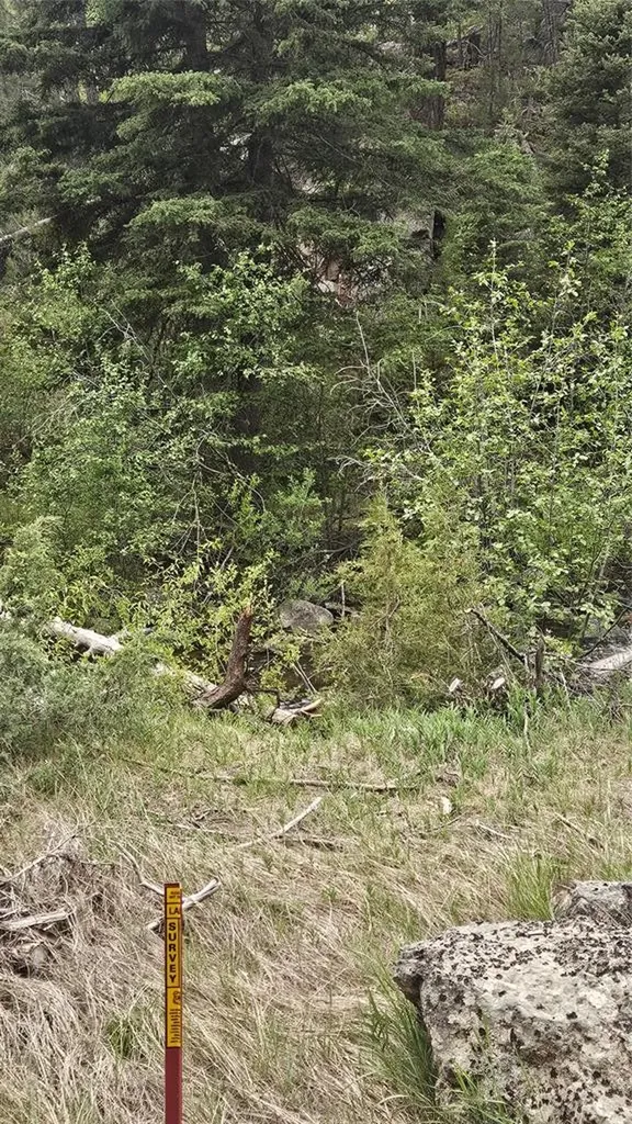 67 Basin Creek Road Basin MT 59631