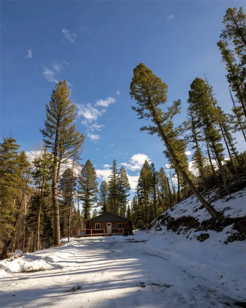 11045 Stemple Pass Road Lincoln MT 59639