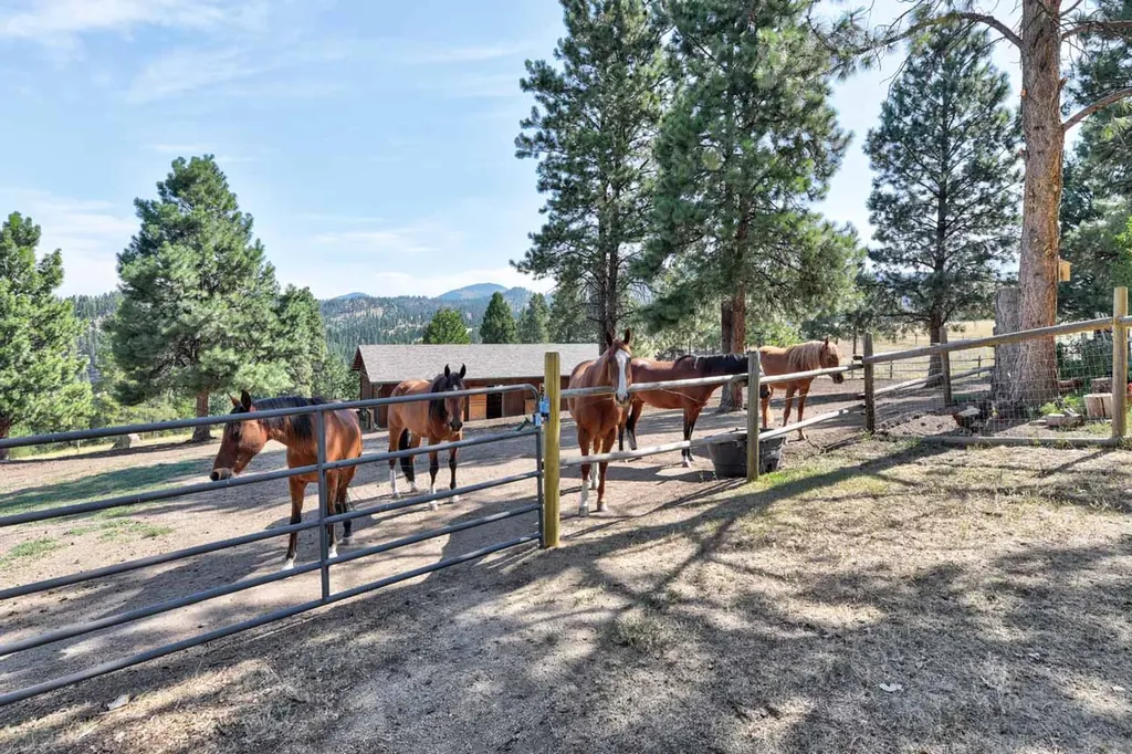 5 Alpine Valley Lane Clancy MT 59634